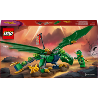 Конструктор LEGO NINJAGO Зелений лісовий дракон Ллойда 128 деталей (71829)