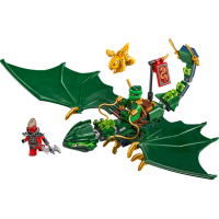 Конструктор LEGO NINJAGO Зелений лісовий дракон Ллойда 128 деталей (71829)