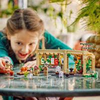 Конструктор LEGO Harry Potter Замок Гогвортс урок гербології 390 деталей (76445)