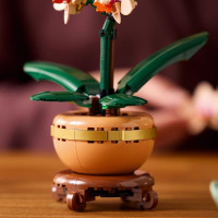 Конструктор LEGO Botanicals Міні орхідея 274 деталі (10343) Конструктор LEGO Botanicals Міні орхідея 274 деталі (10343)