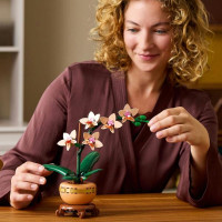 Конструктор LEGO Botanicals Міні орхідея 274 деталі (10343) Конструктор LEGO Botanicals Міні орхідея 274 деталі (10343)