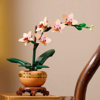 Конструктор LEGO Botanicals Міні орхідея 274 деталі (10343) Конструктор LEGO Botanicals Міні орхідея 274 деталі (10343)