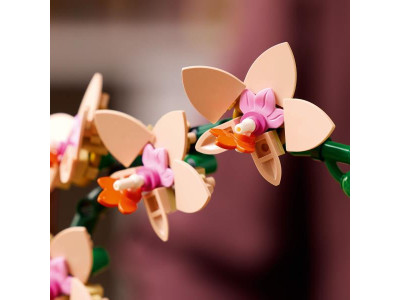 Конструктор LEGO Botanicals Міні орхідея 274 деталі (10343) Конструктор LEGO Botanicals Міні орхідея 274 деталі (10343)