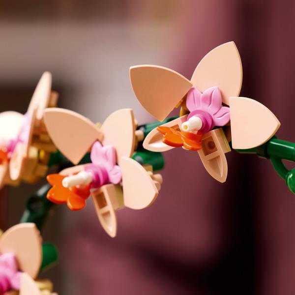 Конструктор LEGO Botanicals Міні орхідея 274 деталі (10343) Конструктор LEGO Botanicals Міні орхідея 274 деталі (10343)