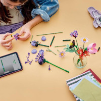 Конструктор LEGO® Botanicals та LEGO® Editions Букет квітів Олівії Родріґо (11507)