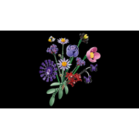 Конструктор LEGO® Botanicals та LEGO® Editions Букет квітів Олівії Родріґо (11507)