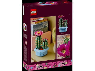 Конструктор LEGO Botanicals Цвітіння кактуса 482 Деталі (11509) Конструктор LEGO Botanicals Цвітіння кактуса 482 Деталі (11509)