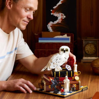 Конструктор LEGO Harry Potter TM Філософський камінь. Колекційний набір 1571 Деталь (76466)