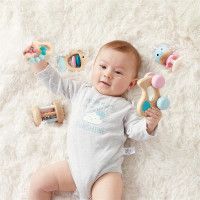 Набір брязкалець Hape Сенсорика (E0108)