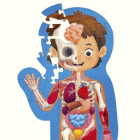 Пазл Hape Тіло людини 100 см, 60 ел. (E1635) Пазл Hape Тіло людини 100 см, 60 ел. (E1635)