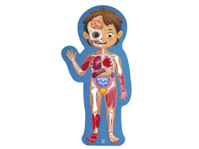 Пазл Hape Тіло людини 100 см, 60 ел. (E1635) Пазл Hape Тіло людини 100 см, 60 ел. (E1635)