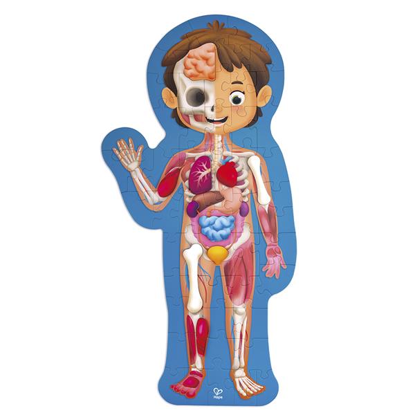 Пазл Hape Тіло людини 100 см, 60 ел. (E1635) Пазл Hape Тіло людини 100 см, 60 ел. (E1635)