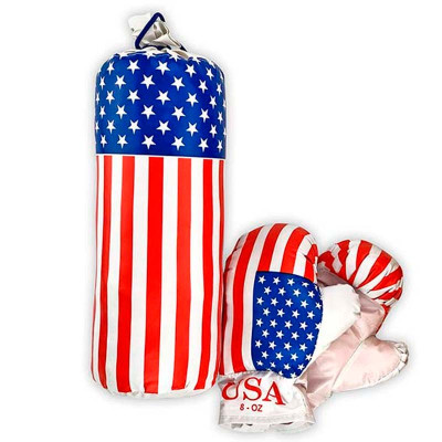 Боксерський набір Danko Toys "Америка" дитячий малий S-USA