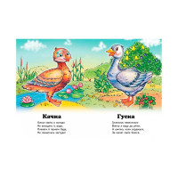 Дитяча книга 9789669133472_Cockerel Хто це? Дитяча книга 9789669133472_Cockerel Хто це?
