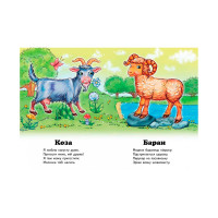Дитяча книга 9789669133472_Cockerel Хто це? Дитяча книга 9789669133472_Cockerel Хто це?
