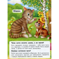 Дитяча книжка А-5 запитання та відповіді картон 470652_Хто це? На подвірї