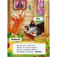 Дитяча книжка А-5 запитання та відповіді картон 470652_Хто це? На подвірї