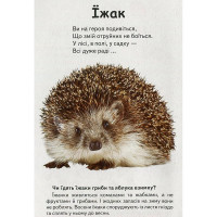 Дитяча книжка А-5 запитання та відповіді картон 470652_Хто це? Лісові тварини Дитяча книжка А-5 запитання та відповіді картон 470652_Хто це? Лісові тварини