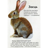 Дитяча книжка А-5 запитання та відповіді картон 470652_Хто це? Лісові тварини Дитяча книжка А-5 запитання та відповіді картон 470652_Хто це? Лісові тварини