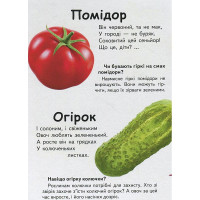 Дитяча книжка А-5 запитання та відповіді картон 470652_Що це? Овочі фрукти та ягоди. Дитяча книжка А-5 запитання та відповіді картон 470652_Що це? Овочі фрукти та ягоди.