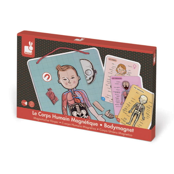 Ігровий магнітний набір Janod "Тіло людини" J05491 Ігровий магнітний набір Janod "Тіло людини" J05491