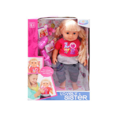 Пупс Lovely Sister з інвентарем та аксесуарами WZJ015-2
