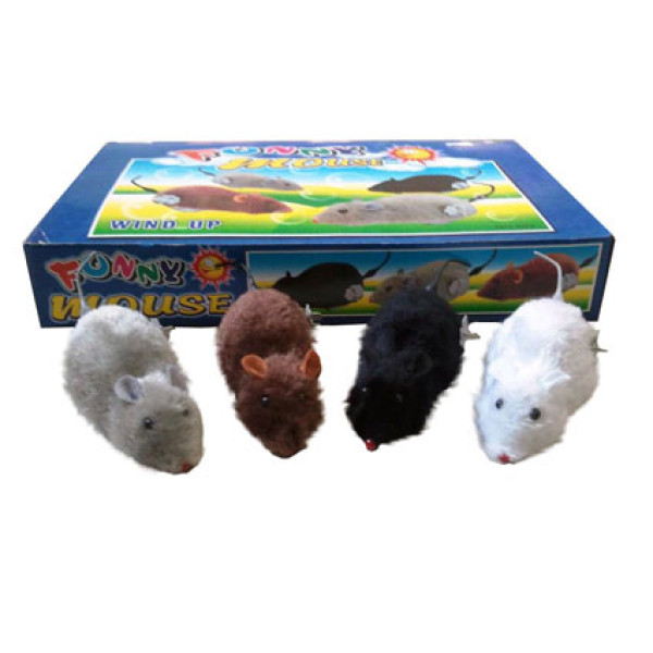 Заводні миші (4 види) 601