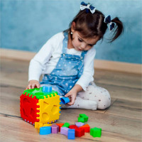 Іграшка-сортер Tigres Educational Cube 24 елементи 39781