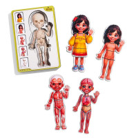 Сортер-пазл UBEE "Анатомія людини – дівчинка - 2" дерев'яний 5 шаровий ПСД263