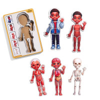 Сортер-пазл UBEE "Анатомія людини – хлопчик - 3" дерев'яний 5 шаровий ПСД262 Сортер-пазл UBEE "Анатомія людини – хлопчик - 3" дерев'яний 5 шаровий ПСД262