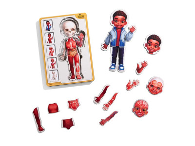 Сортер-пазл UBEE "Анатомія людини – хлопчик - 3" дерев'яний 5 шаровий ПСД262 Сортер-пазл UBEE "Анатомія людини – хлопчик - 3" дерев'яний 5 шаровий ПСД262