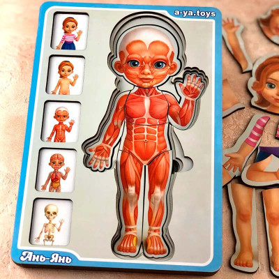 Сортер-пазл "Анатомія людини – дівчинка" багатошаровий дерев'яний ПСФ025 Сортер-пазл "Анатомія людини – дівчинка" багатошаровий дерев'яний ПСФ025