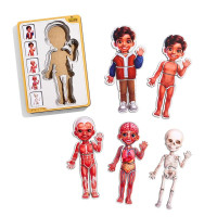 Сортер-пазл UBEE "Анатомія людини – хлопчик - 2" деревяний 5 шаровий ПСД261