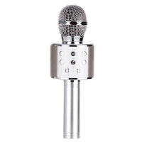 Караоке мікрофон Стальний WS-858 silver