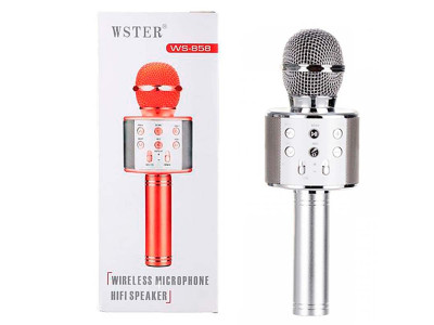 Караоке мікрофон Стальний WS-858 silver