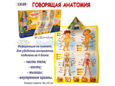 Музично-розвивальний килимок "Анатомія" в коробці 13129