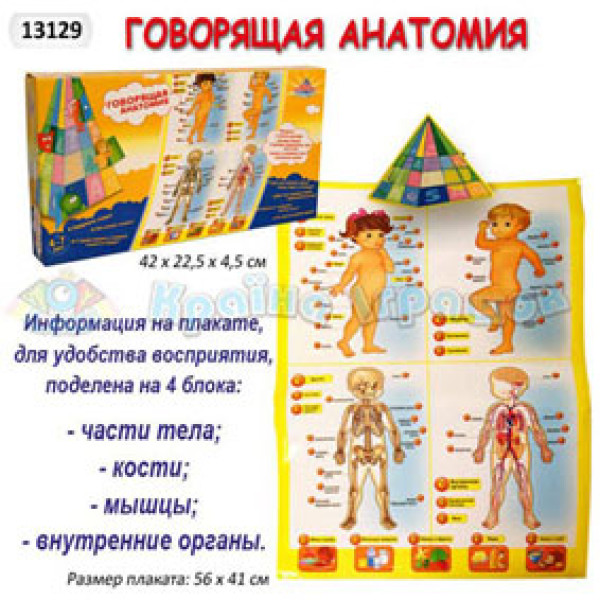 Музично-розвивальний килимок "Анатомія" в коробці 13129
