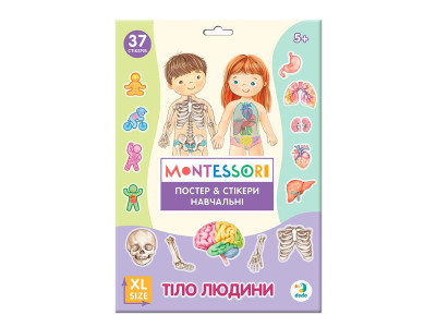 Навчальний постер Dodo Тіло людини XL з наклейками 300901