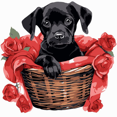 Картина за номерами Stateg Чорне щеня з трояндами 20х20 см HH8010