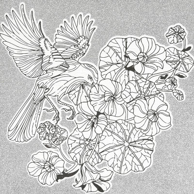 Набір для розпису-антистрес Strateg Пташина гармонія 30х30 см JCEE37102