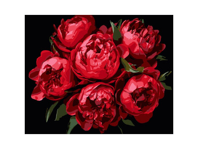 Картина за номерами Stateg Яскраві півонії на чорному фоні 40х50 см AH1215-11