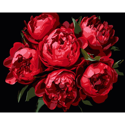 Картина за номерами Stateg Яскраві півонії на чорному фоні 40х50 см AH1215-11