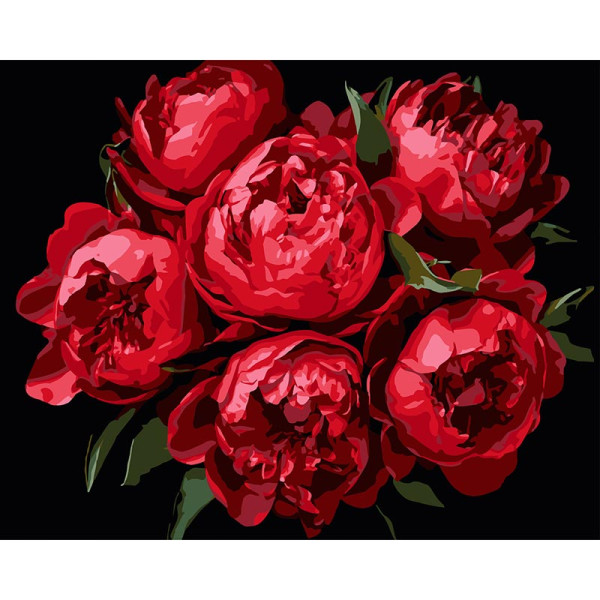Картина за номерами Stateg Яскраві півонії на чорному фоні 40х50 см AH1215-11