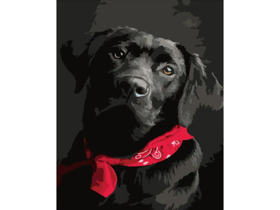 Картина за номерами Stateg Чорний лабрадор 40х50 см DY061