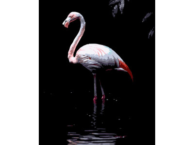 Картина за номерами Strateg Фламінго у воді на чорному фоні 40Х50 см AH1268