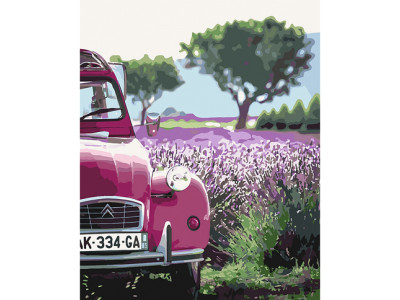 Картина за номерами "Випадкова зупинка" 40х50 см КНО2264