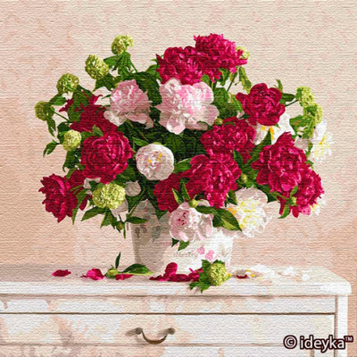 Картина за номерами "Два кольори" КНО13121