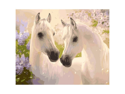 Пара коней 40*50 КНО2433