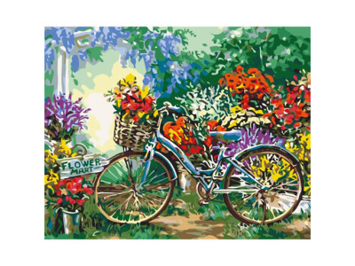 Картина за номерами Чарівна поїздка 2 40*50 КНО5517