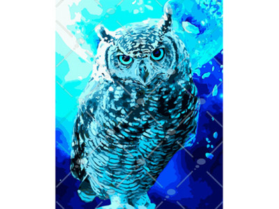 Картина за номерами Берегиня нічного сонця 40*50 КНО4089